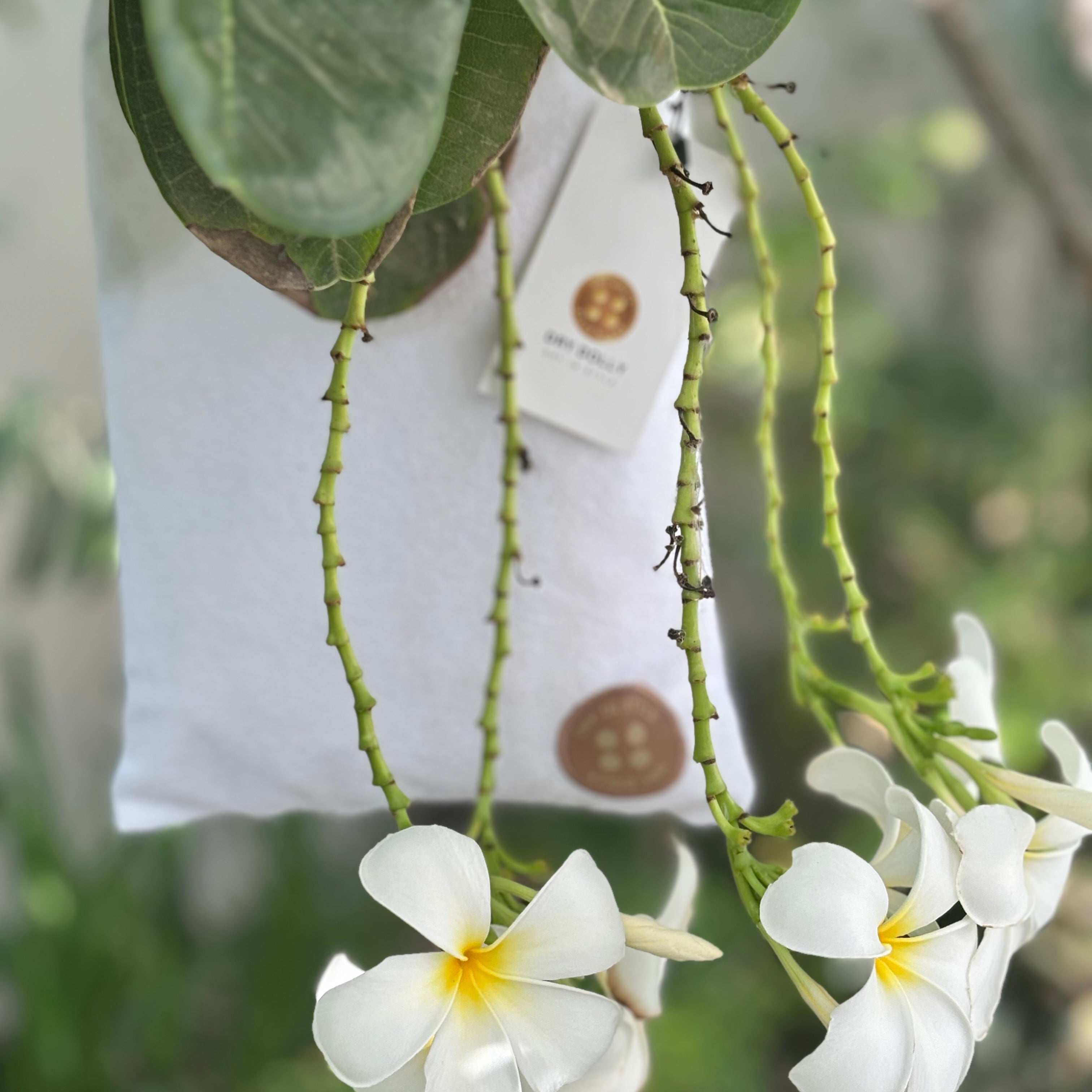 Waterproof drawstring carry bag – stylish, reusable & perfect for wet swimwear, gifting, travel, or beach essentials.