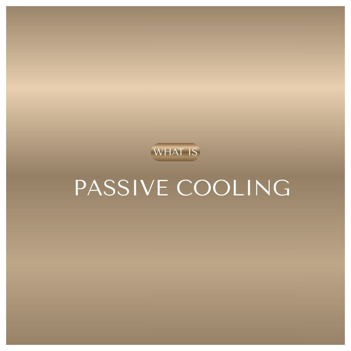 What Is Passive Cooling? How Dry Dolly Is Leading The Way