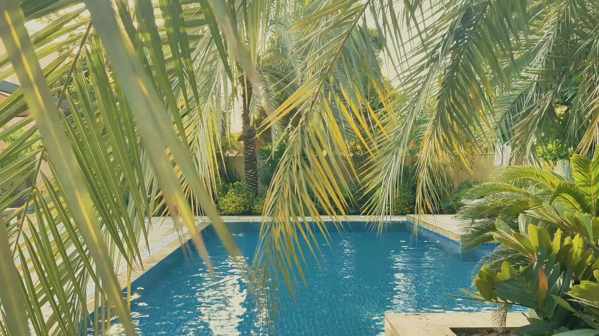 Swimming Pool With Palm Trees